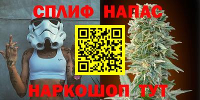твердый Бийск