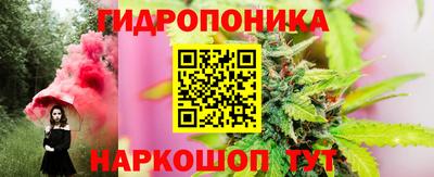 твердый Бийск